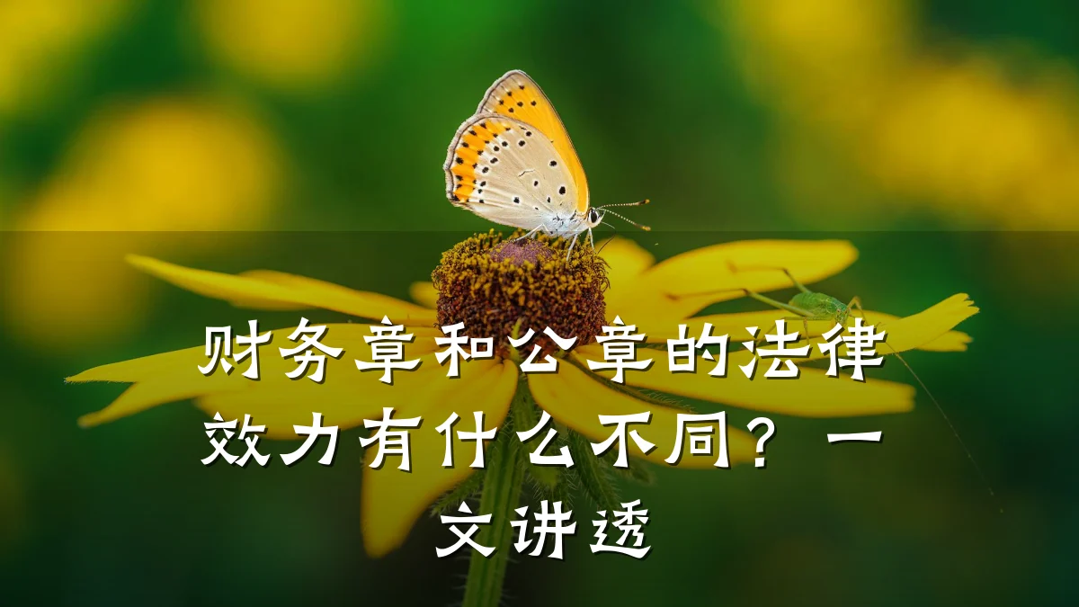 财务章和公章的法律效力有什么不同?一文讲透