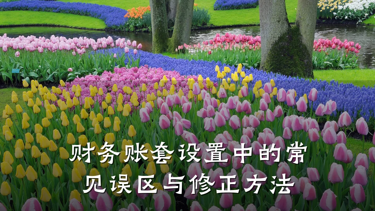 财务账套设置中的常见误区与修正方法