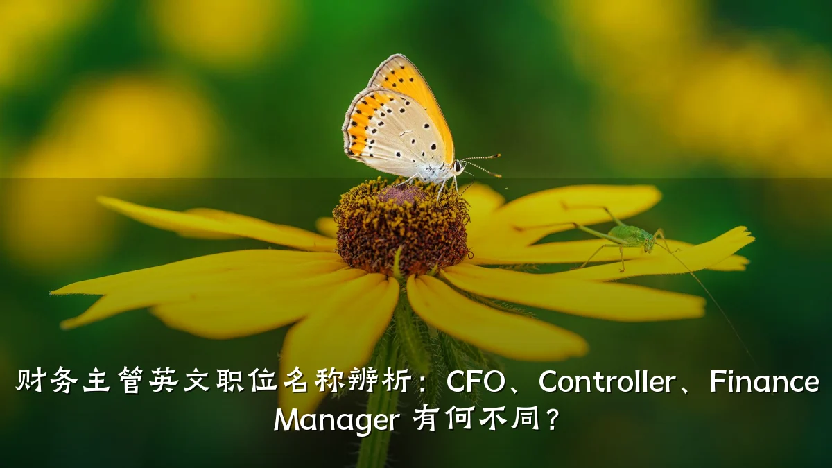 财务主管英文职位名称辨析:CFO、Controller、Finance Manager 有何不同?