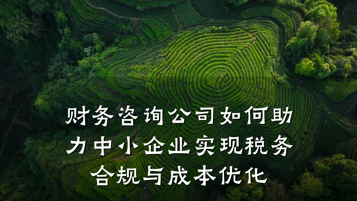 财务咨询公司如何助力中小企业实现税务合规与成本优化