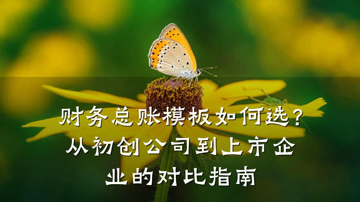 财务总账模板如何选?从初创公司到上市企业的对比指南