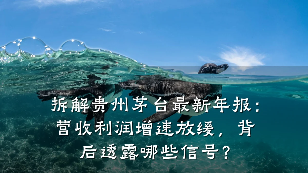 拆解贵州茅台最新年报：营收利润增速放缓，背后透露哪些信号？