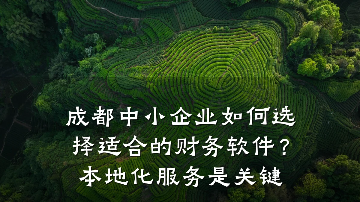 成都中小企业如何选择适合的财务软件?本地化服务是关键