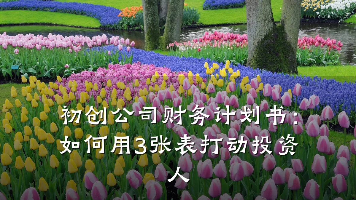 初创公司财务计划书：如何用3张表打动投资人