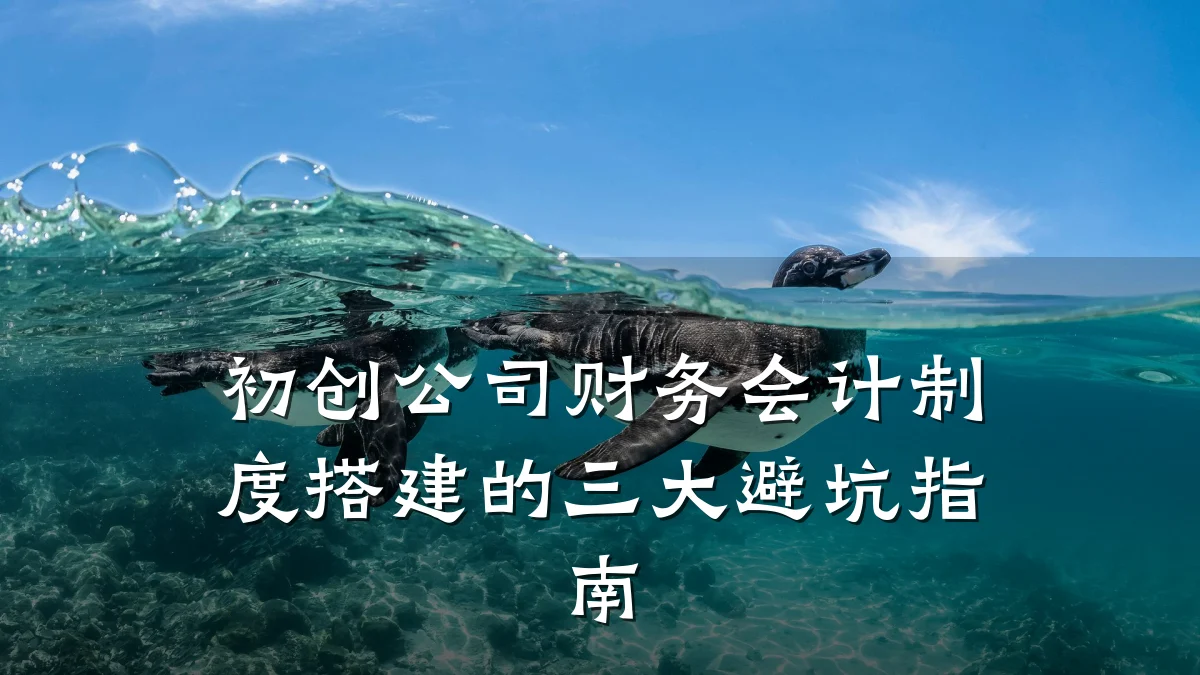 初创公司财务会计制度搭建的三大避坑指南