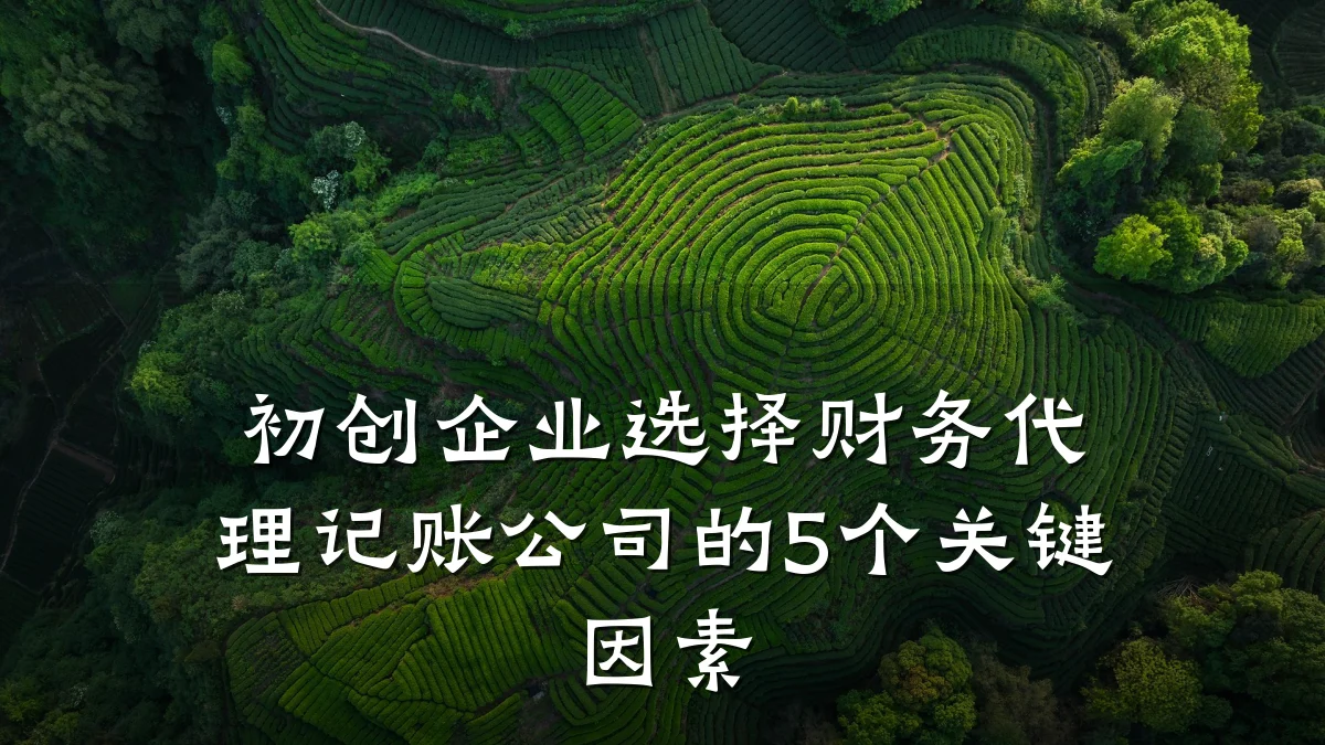 初创企业选择财务代理记账公司的5个关键因素