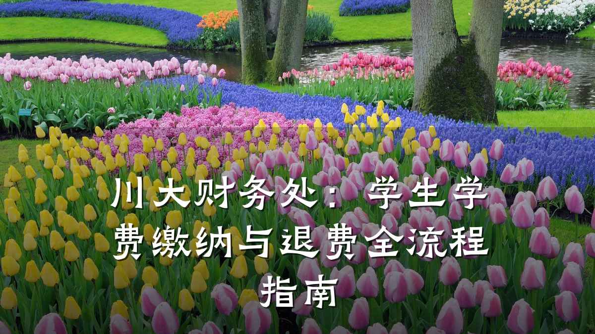 川大财务处:学生学费缴纳与退费全流程指南