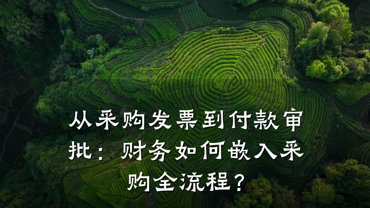 从采购发票到付款审批:财务如何嵌入采购全流程?