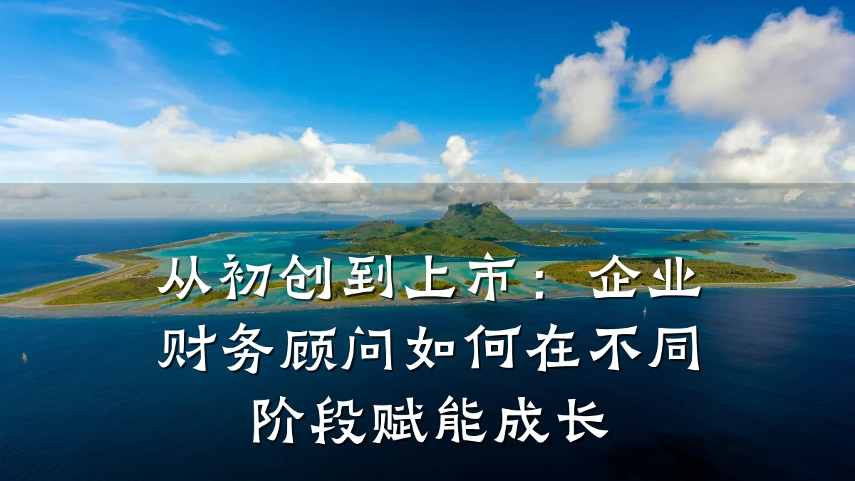 从初创到上市:企业财务顾问如何在不同阶段赋能成长