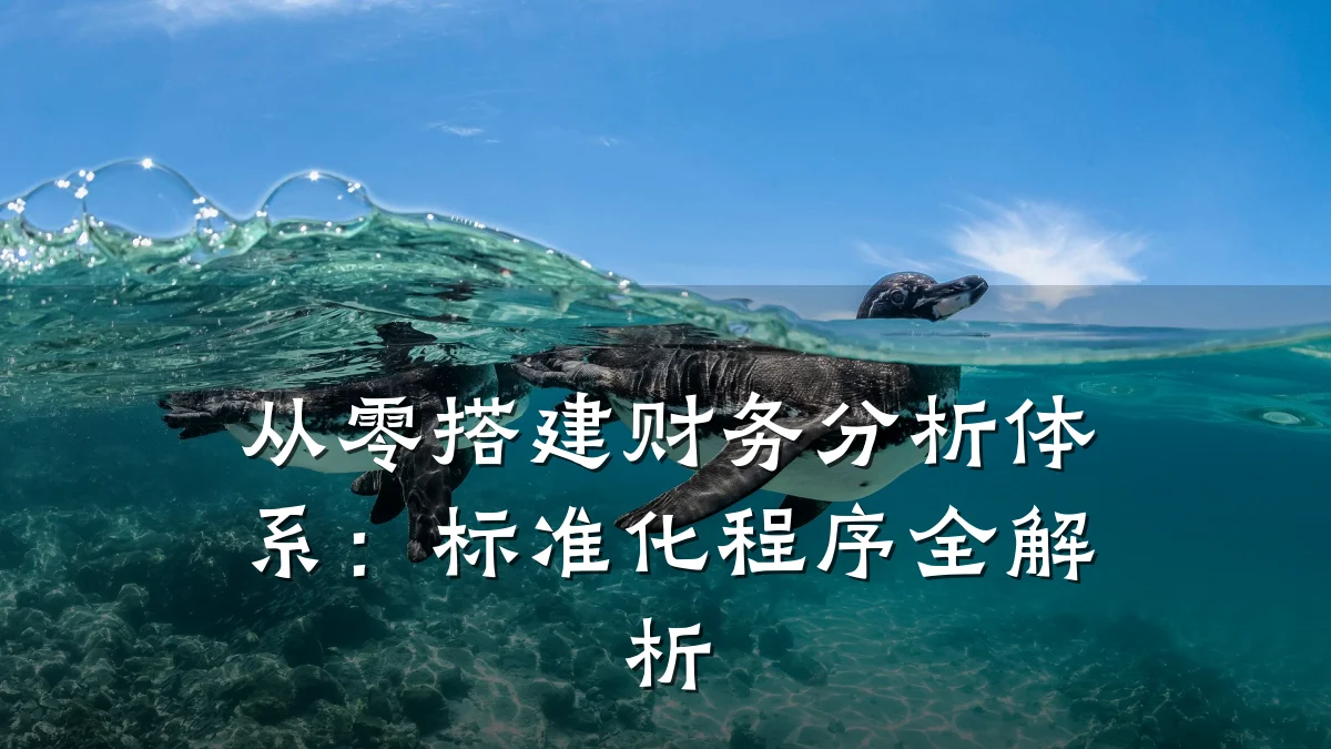 从零搭建财务分析体系:标准化程序全解析