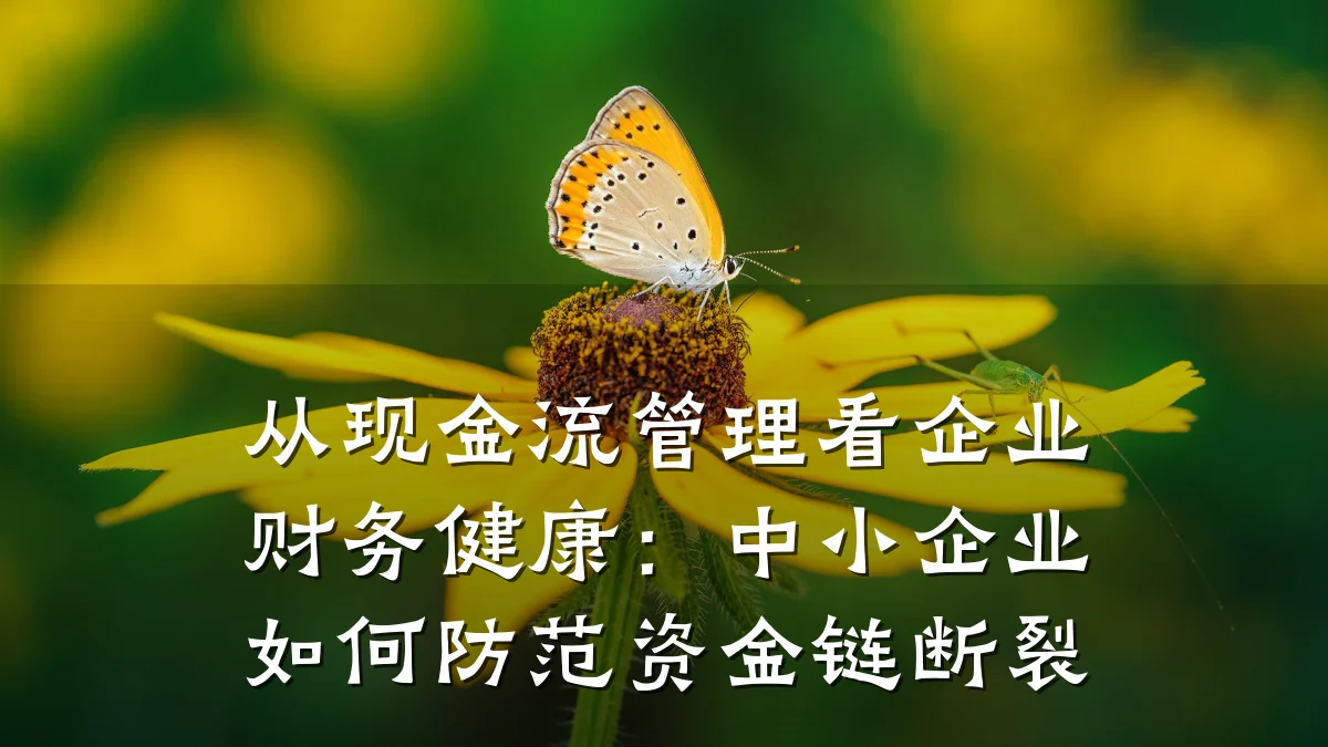 从现金流管理看企业财务健康:中小企业如何防范资金链断裂