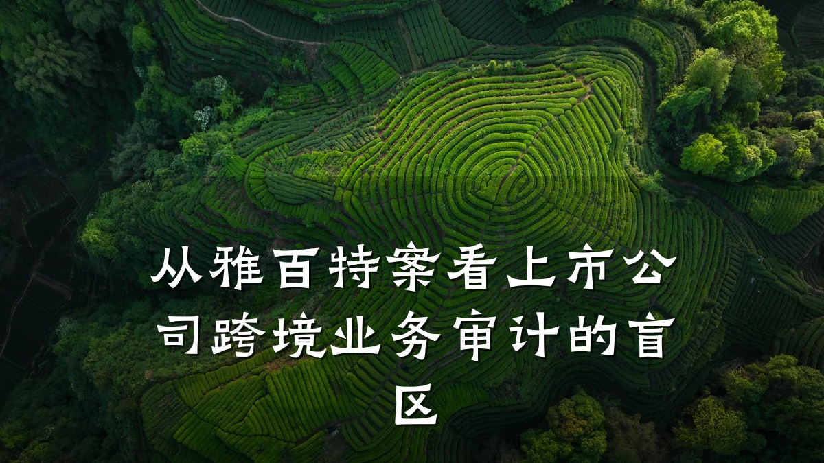 从雅百特案看上市公司跨境业务审计的盲区