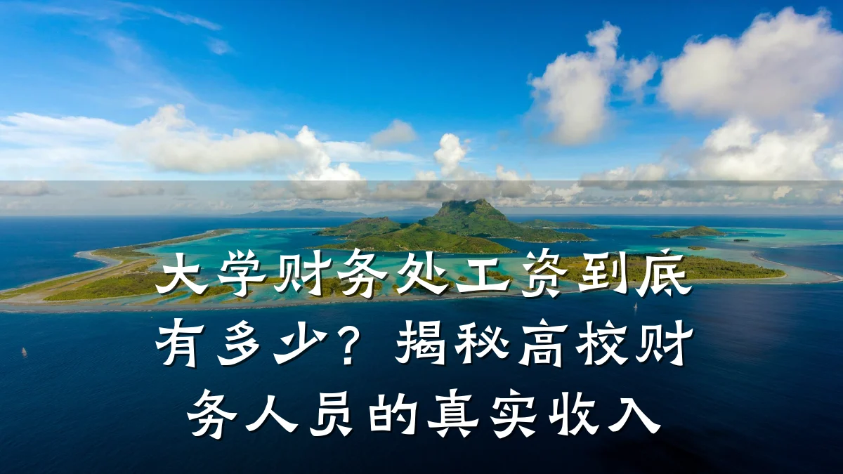 大学财务处工资到底有多少？揭秘高校财务人员的真实收入