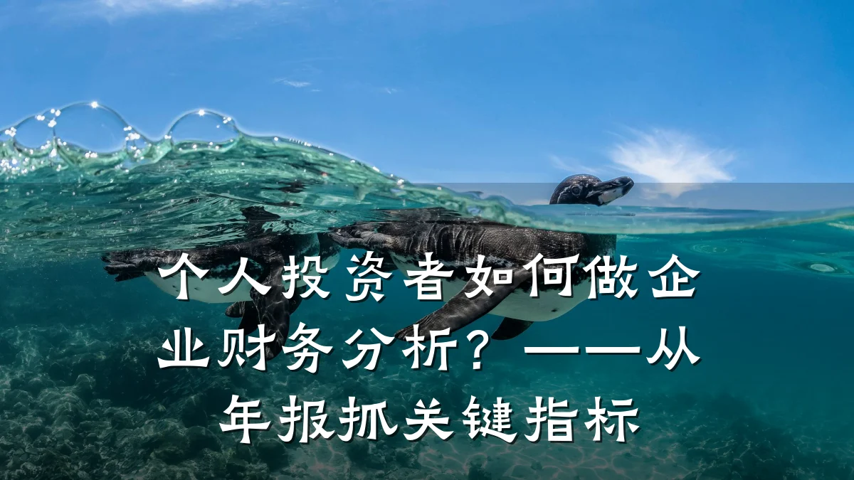 个人投资者如何做企业财务分析?——从年报抓关键指标