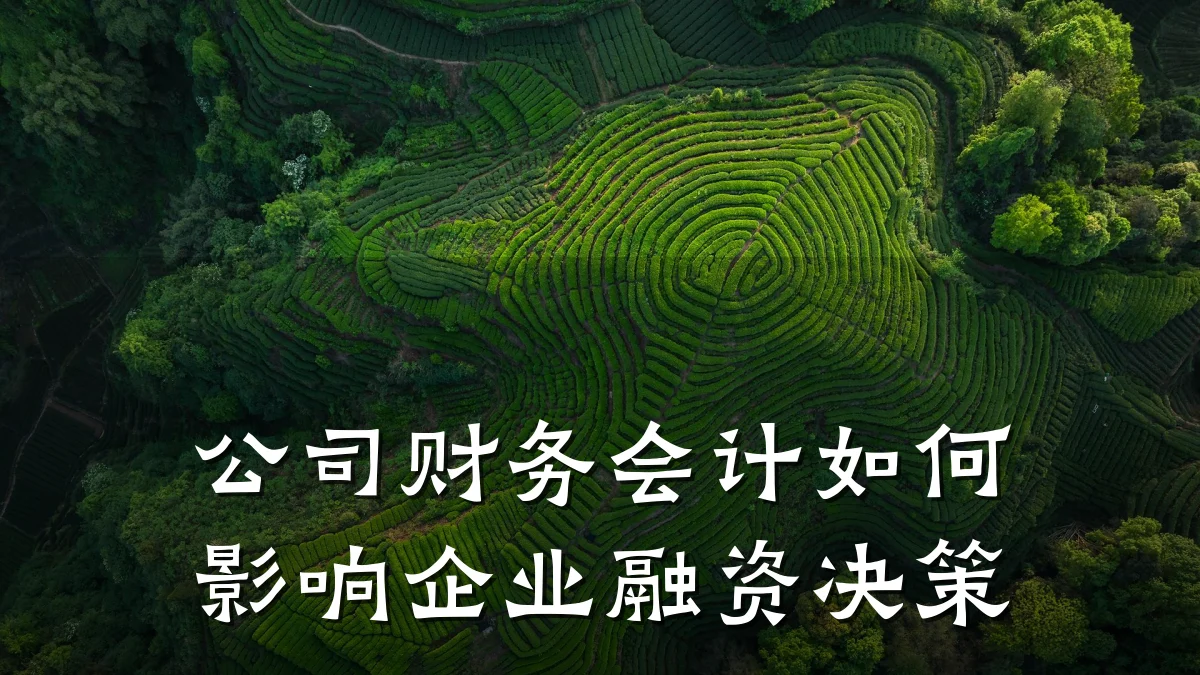 公司财务会计如何影响企业融资决策