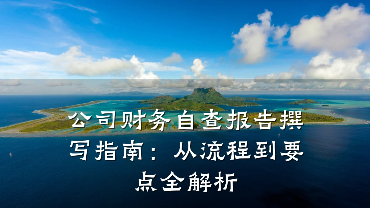 公司财务自查报告撰写指南：从流程到要点全解析