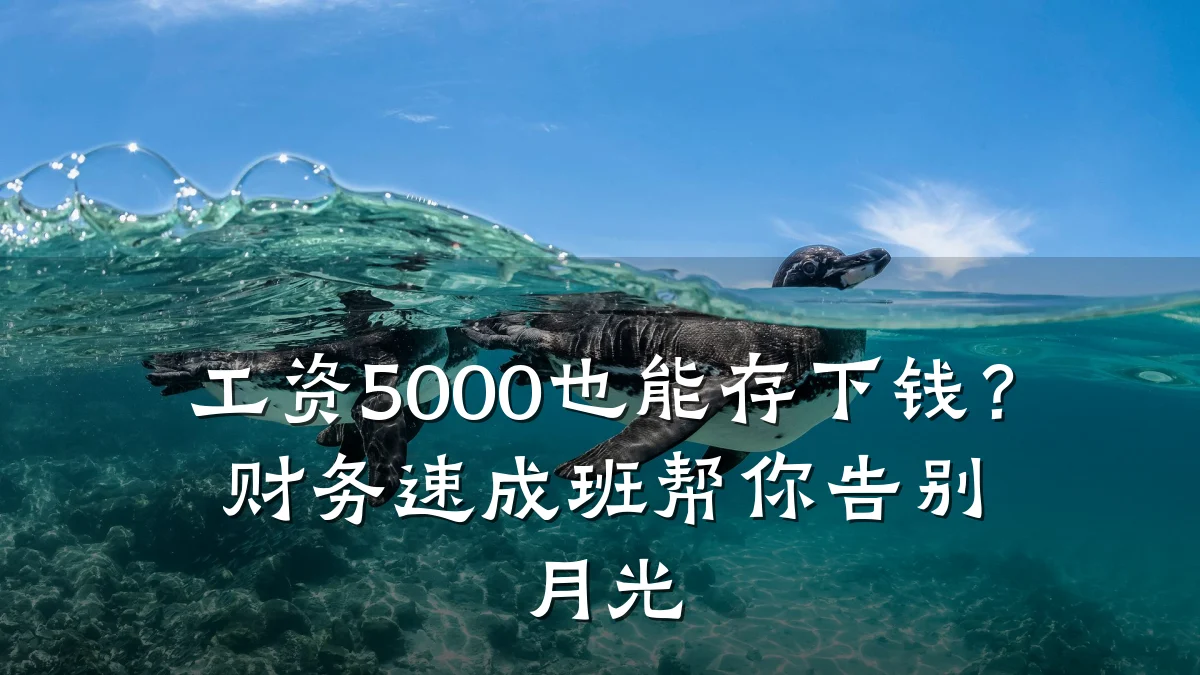 工资5000也能存下钱?财务速成班帮你告别月光