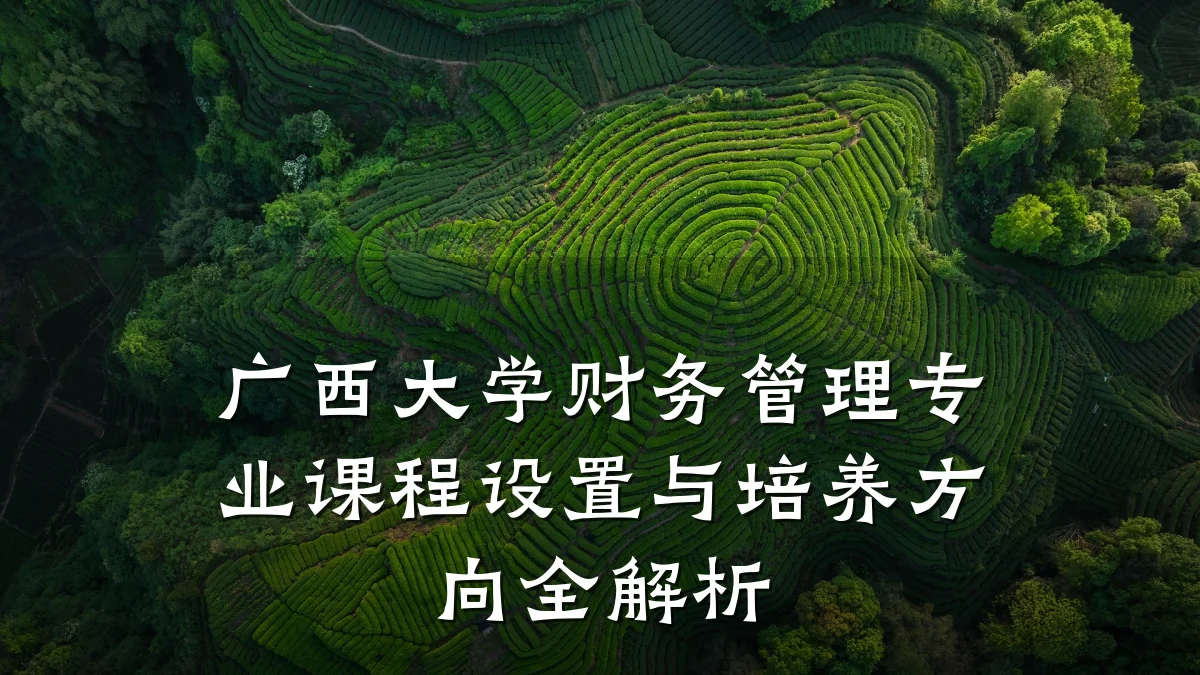 广西大学财务管理专业课程设置与培养方向全解析
