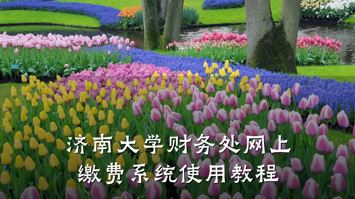 济南大学财务处网上缴费系统使用教程