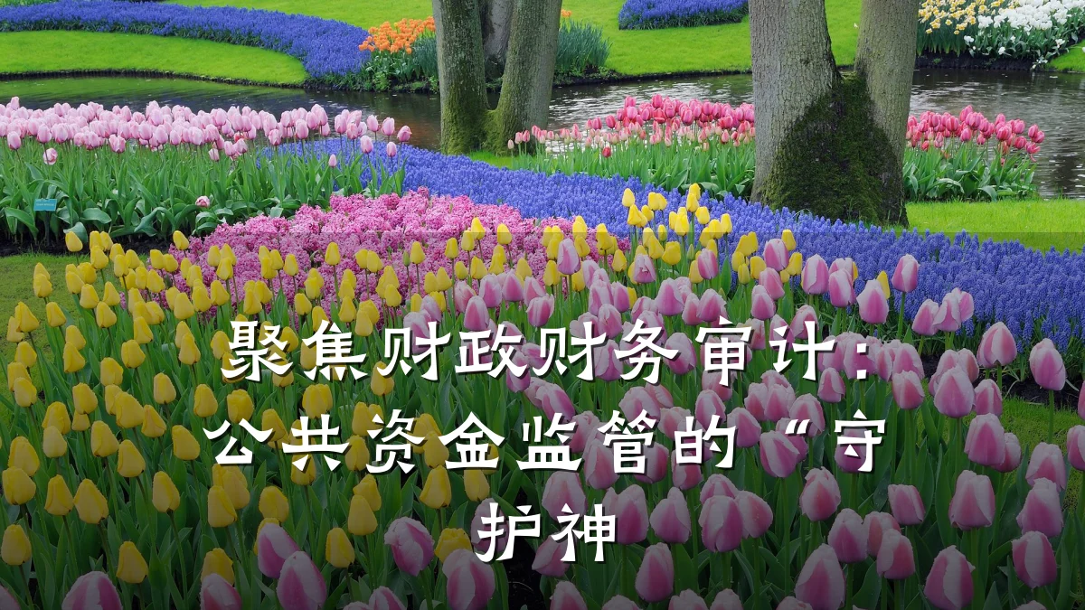 聚焦财政财务审计:公共资金监管的“守护神