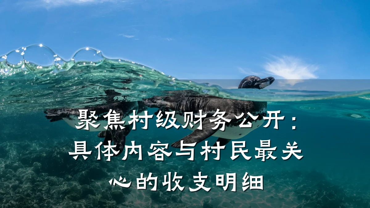 聚焦村级财务公开:具体内容与村民最关心的收支明细