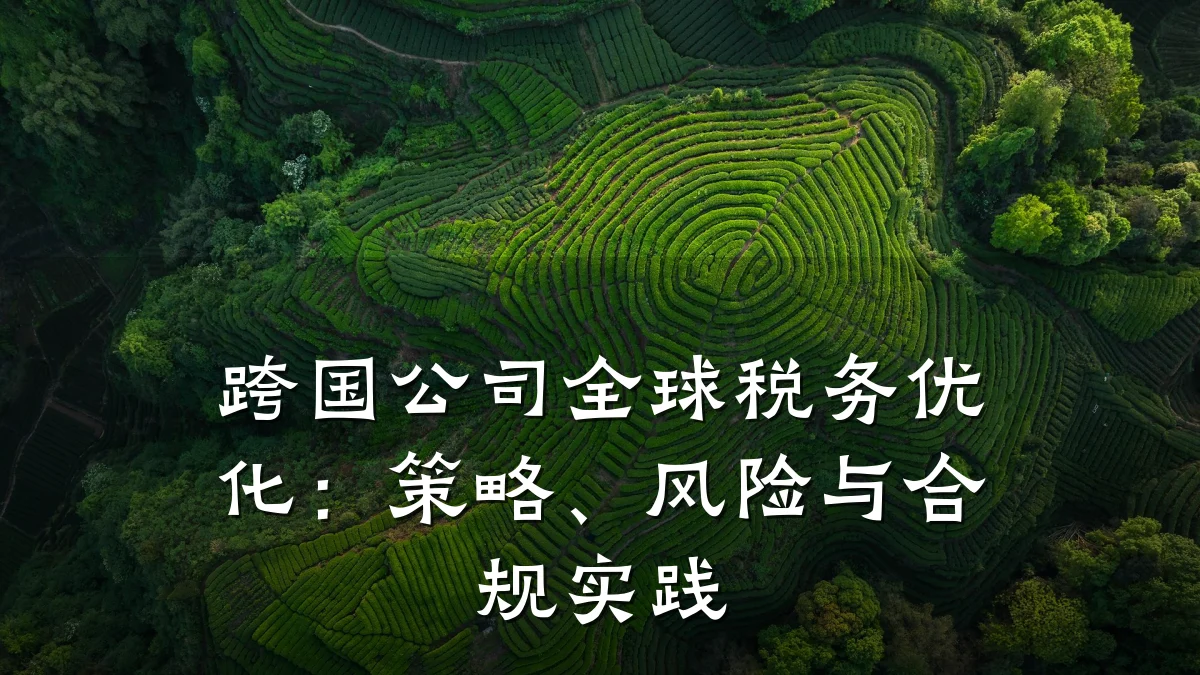 跨国公司全球税务优化:策略、风险与合规实践