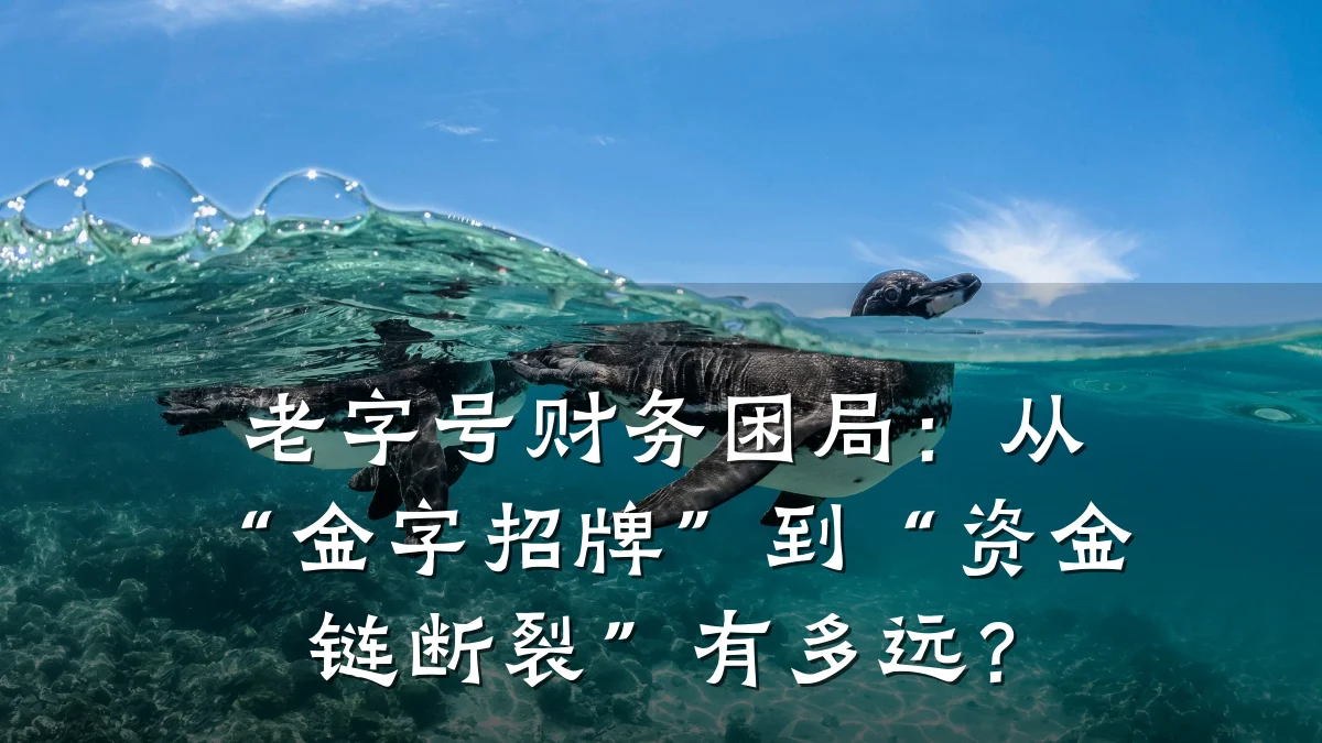 老字号财务困局:从“金字招牌”到“资金链断裂”有多远?