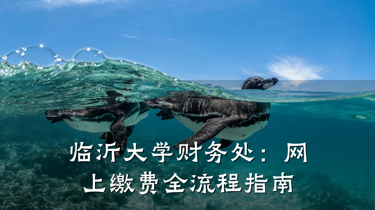 临沂大学财务处:网上缴费全流程指南