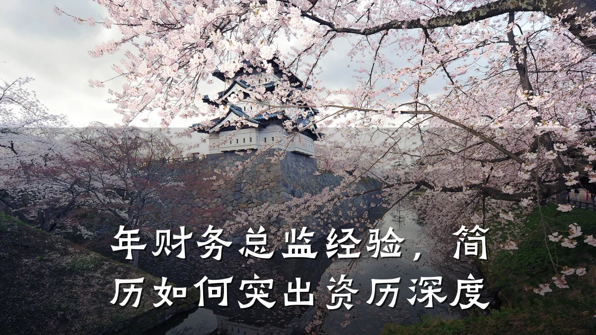 年财务总监经验,简历如何突出资历深度