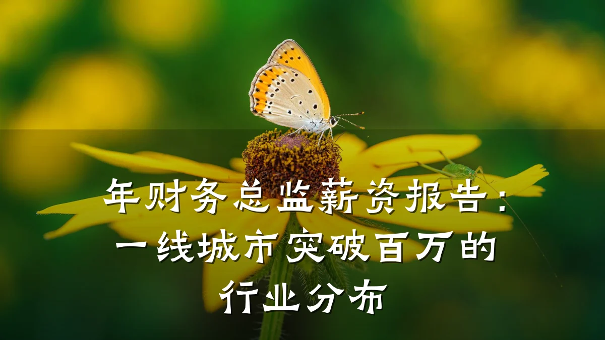 年财务总监薪资报告:一线城市突破百万的行业分布