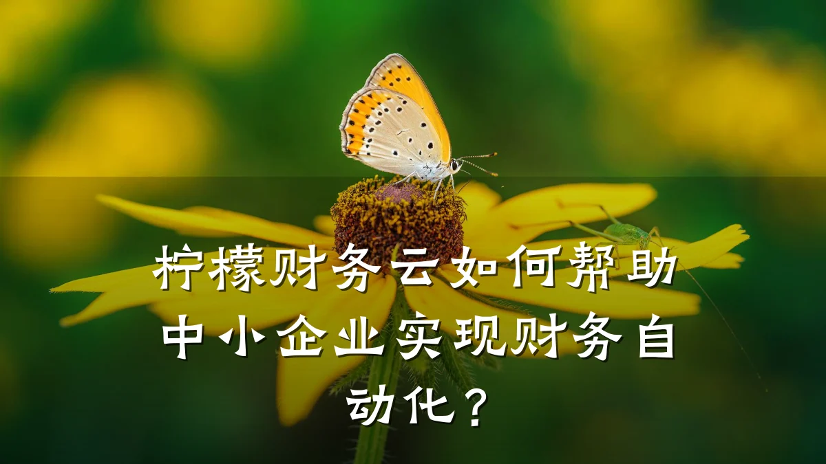 柠檬财务云如何帮助中小企业实现财务自动化?