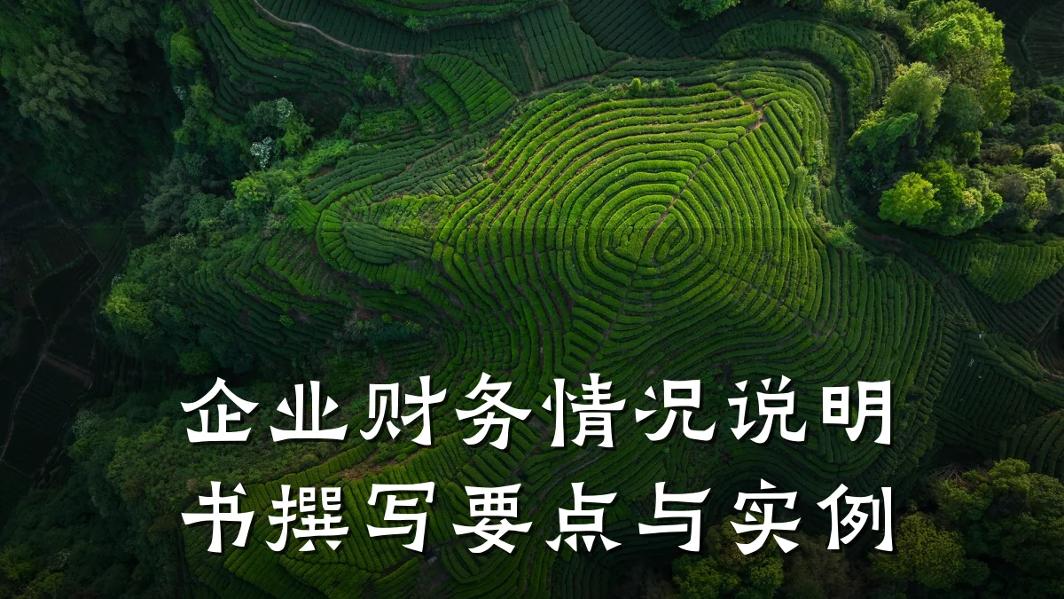 企业财务情况说明书撰写要点与实例