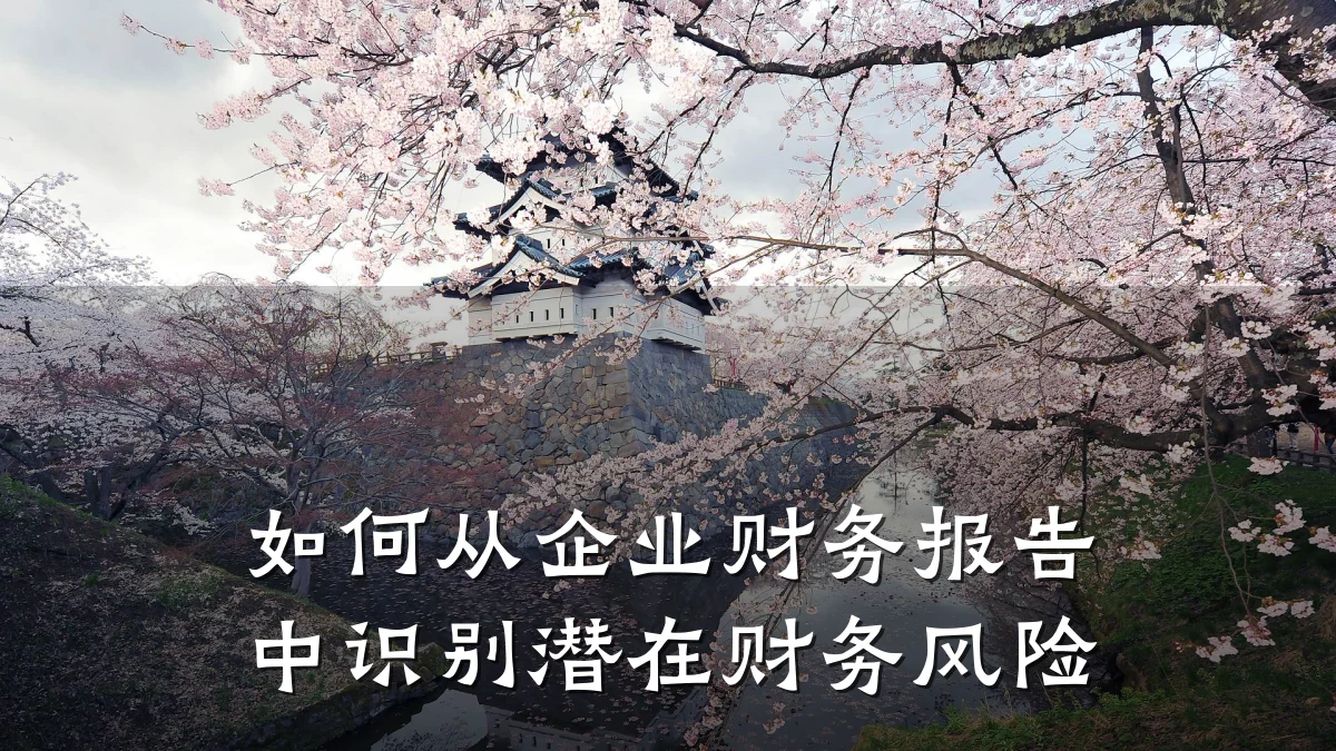 如何从企业财务报告中识别潜在财务风险