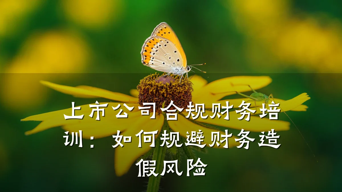 上市公司合规财务培训:如何规避财务造假风险