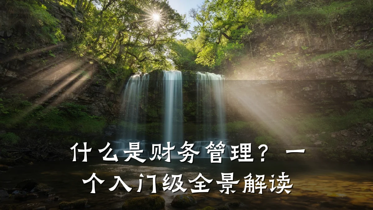 什么是财务管理？一个入门级全景解读