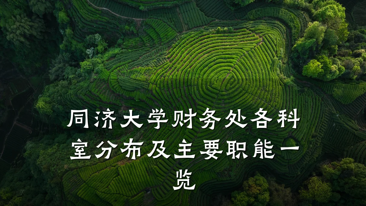 同济大学财务处各科室分布及主要职能一览