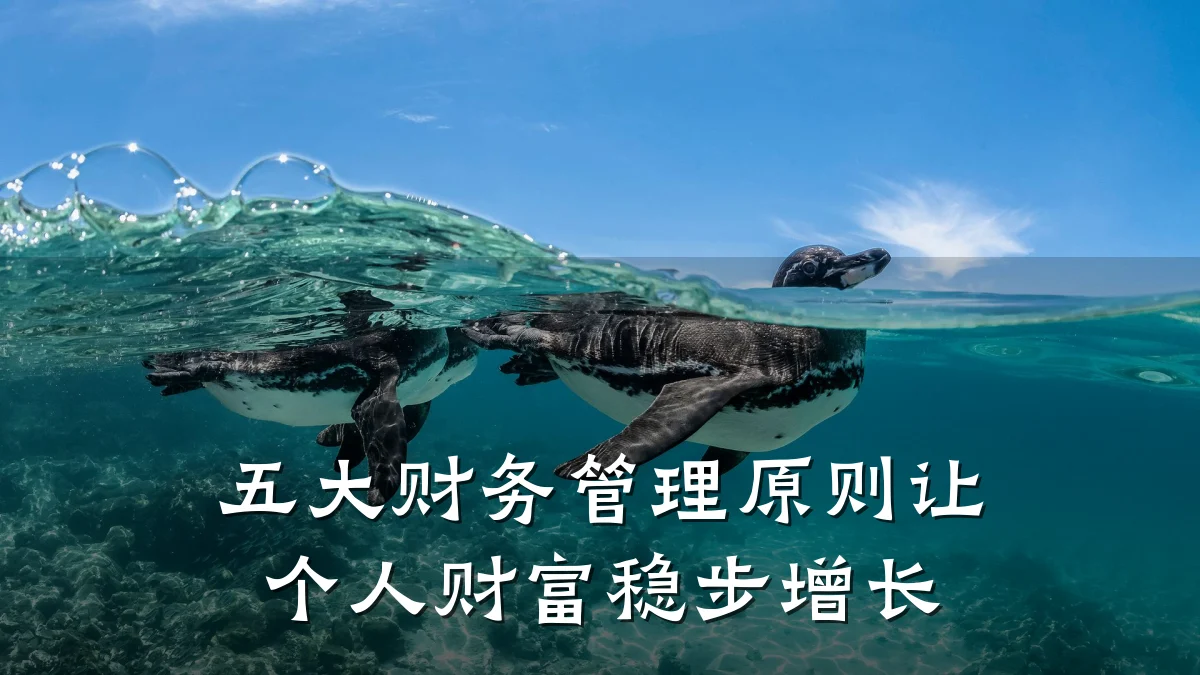 五大财务管理原则让个人财富稳步增长