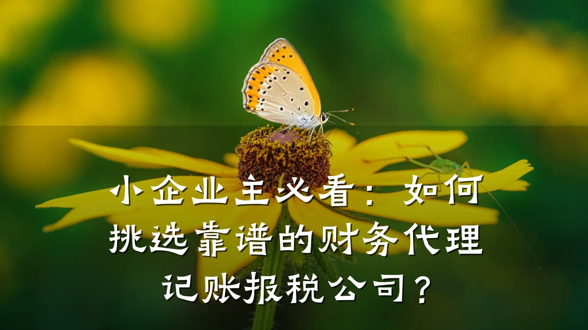 小企业主必看:如何挑选靠谱的财务代理记账报税公司?