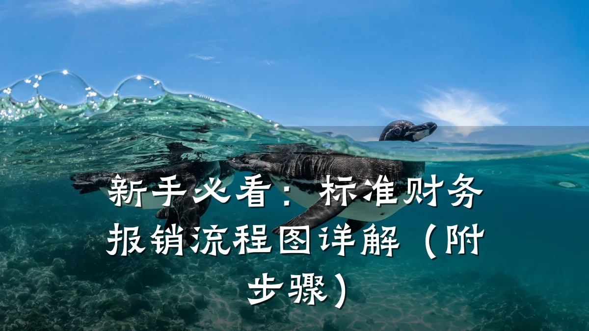 新手必看：标准财务报销流程图详解（附步骤）