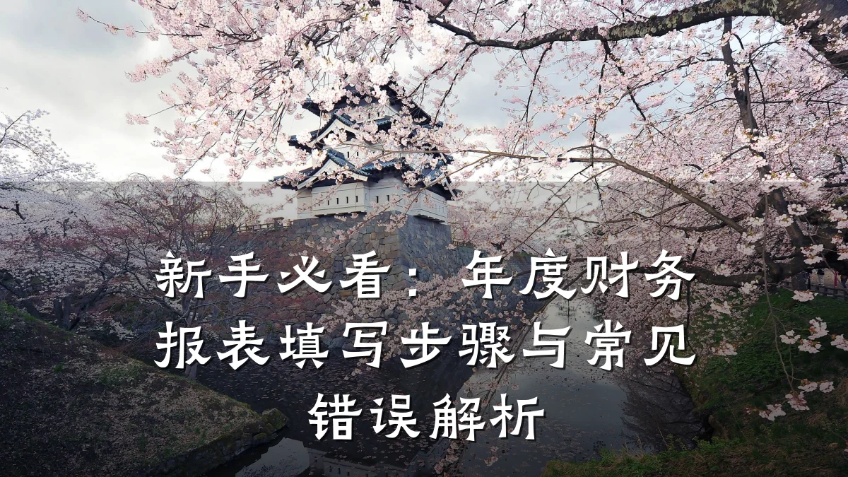 新手必看:年度财务报表填写步骤与常见错误解析