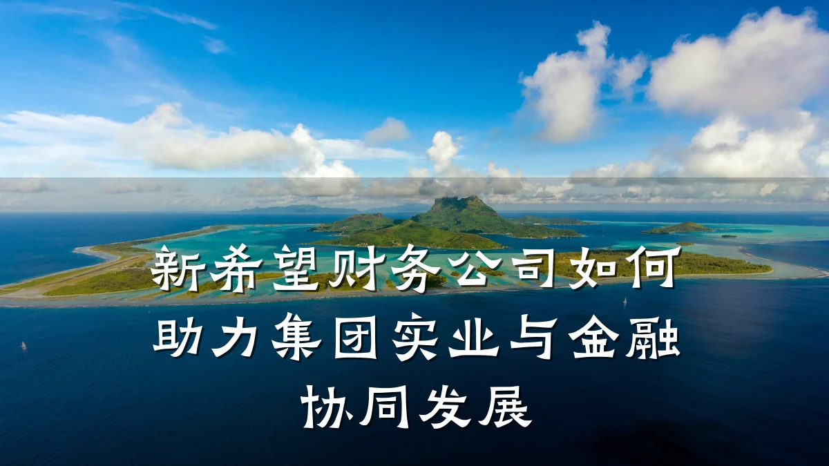 新希望财务公司如何助力集团实业与金融协同发展