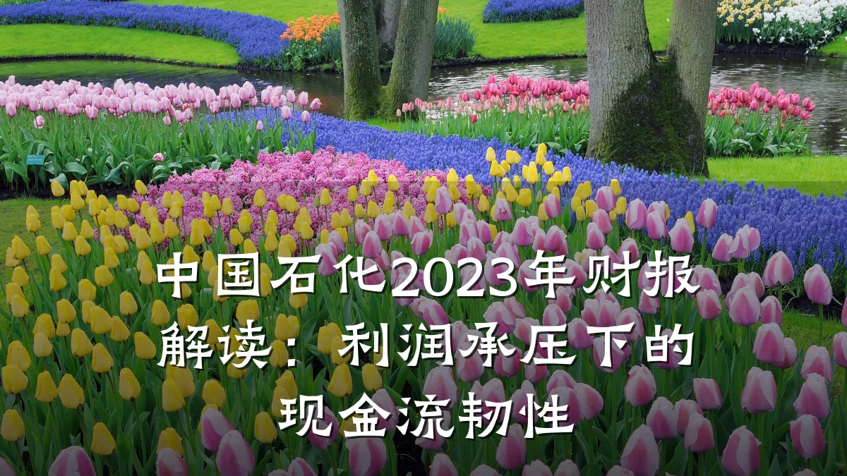 中国石化2023年财报解读:利润承压下的现金流韧性