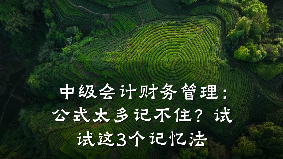 中级会计财务管理:公式太多记不住?试试这3个记忆法