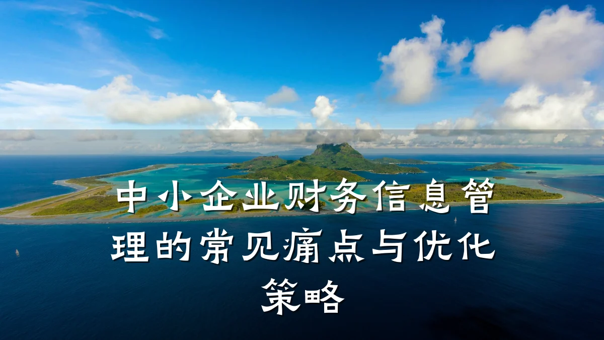 中小企业财务信息管理的常见痛点与优化策略