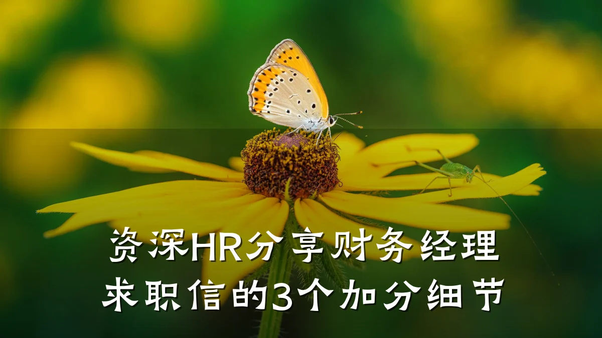 资深HR分享财务经理求职信的3个加分细节