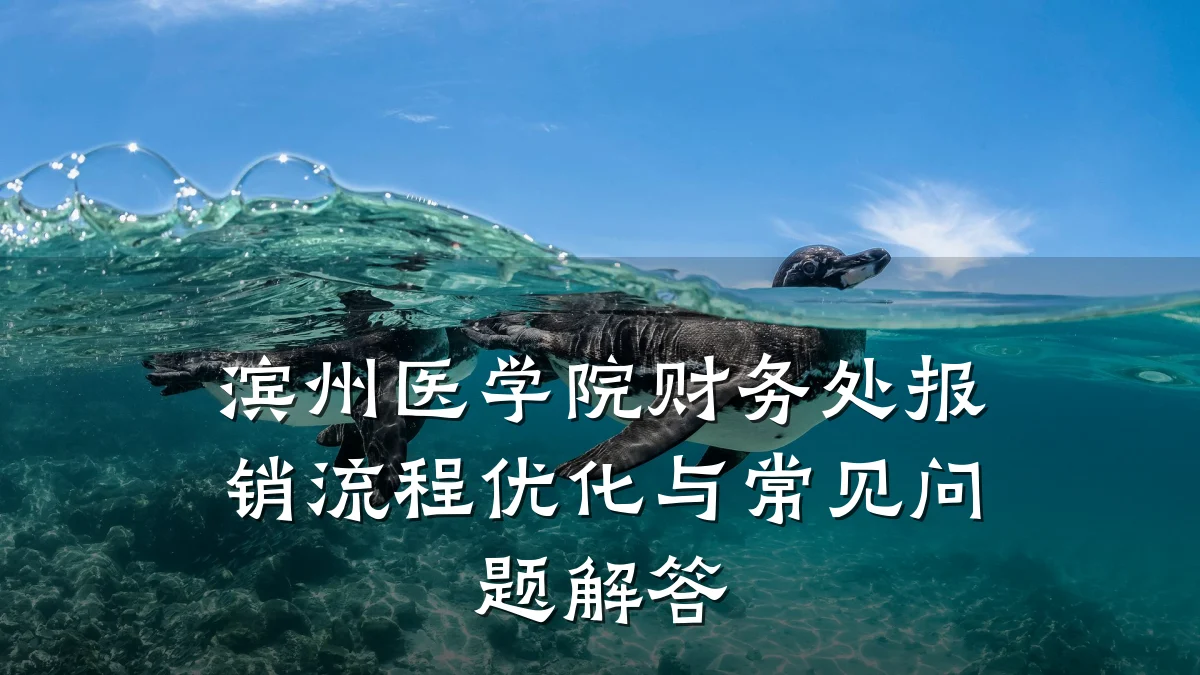 滨州医学院财务处报销流程优化与常见问题解答