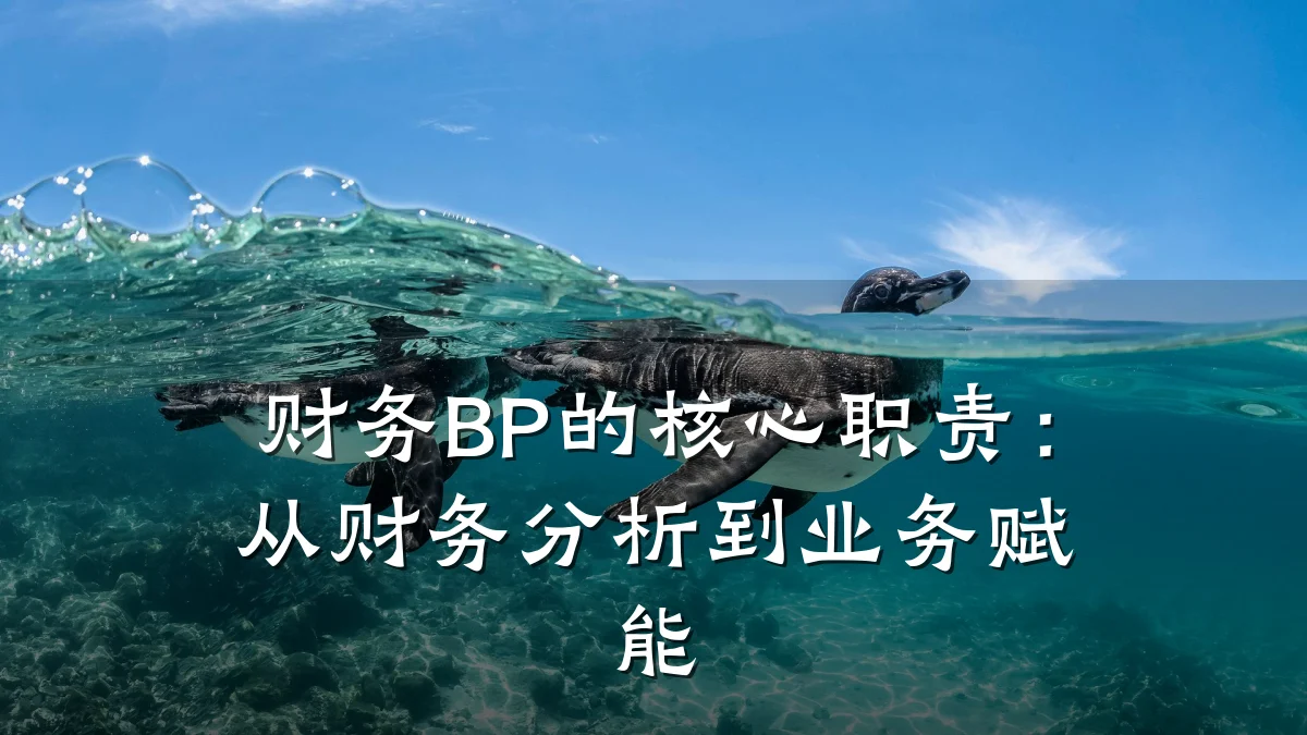 财务BP的核心职责：从财务分析到业务赋能