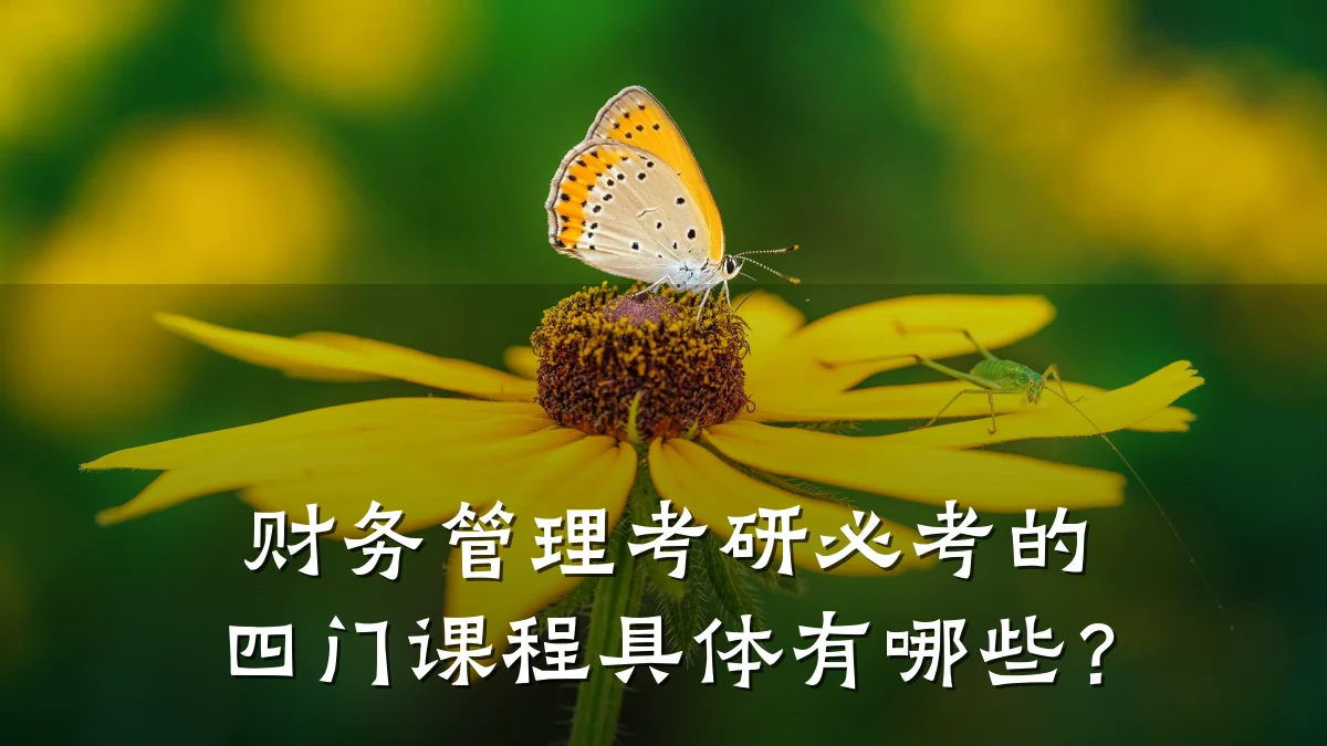 财务管理考研必考的四门课程具体有哪些?