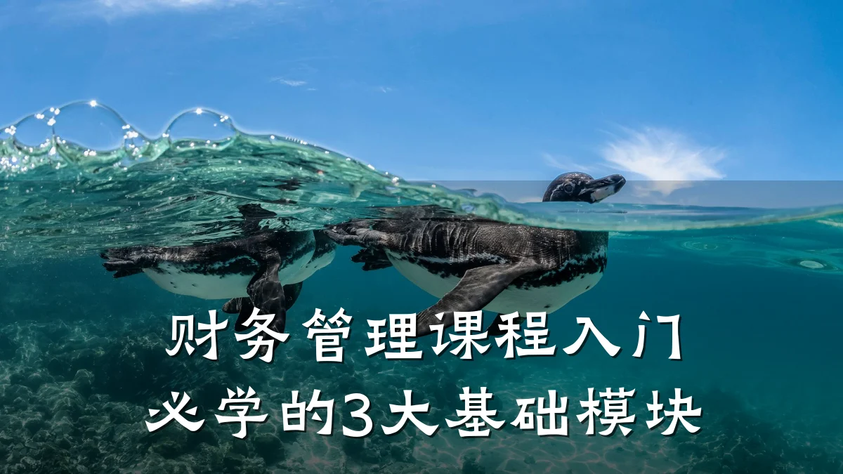 财务管理课程入门必学的3大基础模块
