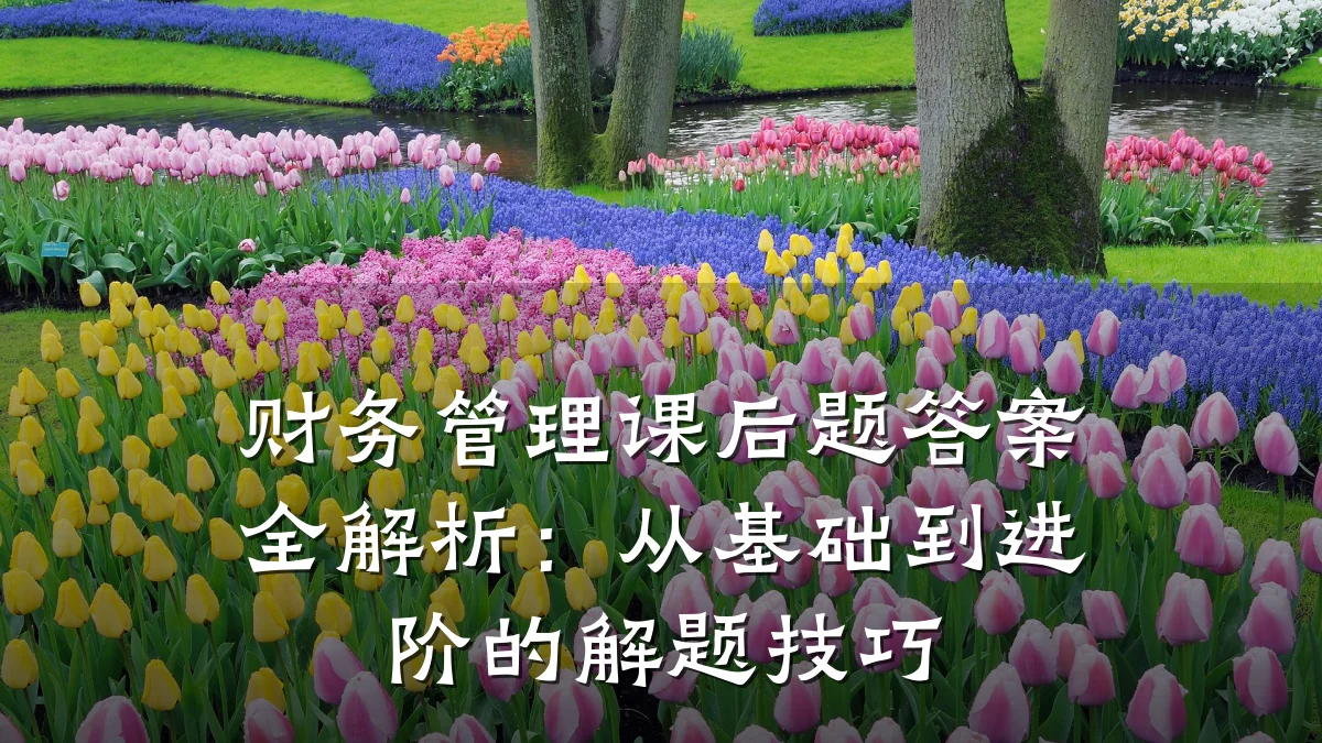 财务管理课后题答案全解析:从基础到进阶的解题技巧